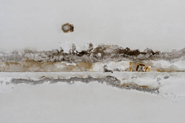 istockphoto-1258434159-612x612